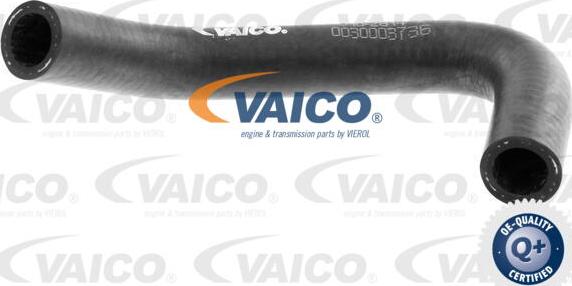 VAICO V10-2814 - Furtun radiator aaoparts.ro