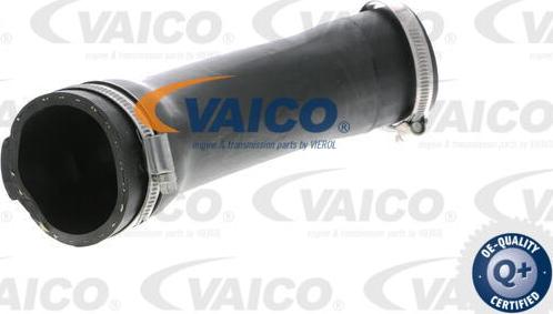 VAICO V10-2877 - Furtun aer supraalimentare aaoparts.ro