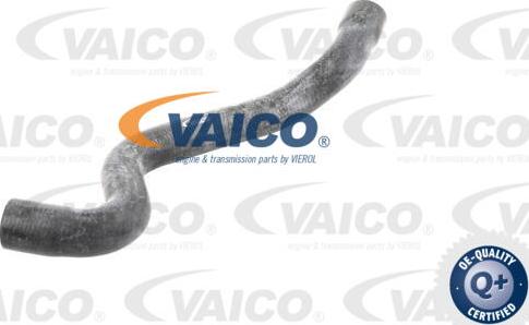 VAICO V10-2730 - Furtun radiator aaoparts.ro