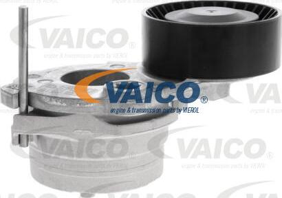 VAICO V10-7465 - Intinzator curea, curea distributie aaoparts.ro