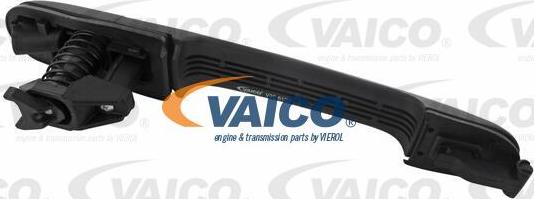 VAICO V30-6132 - Maner usa aaoparts.ro