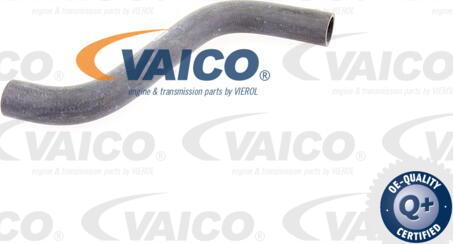 VAICO V30-1617 - Furtun radiator aaoparts.ro