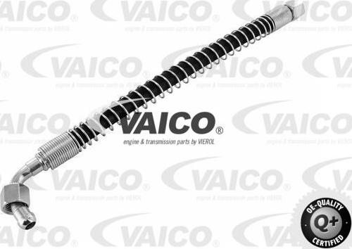 VAICO V30-1133 - Furtun,radiator ulei transmisie aaoparts.ro