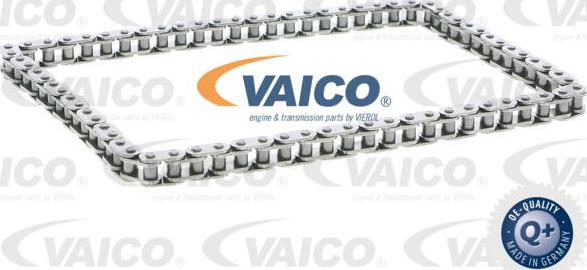 VAICO V25-0818 - Lant, angrenare pompa ulei aaoparts.ro