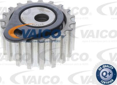 VAICO V25-0335 - Rola intinzator,curea distributie aaoparts.ro