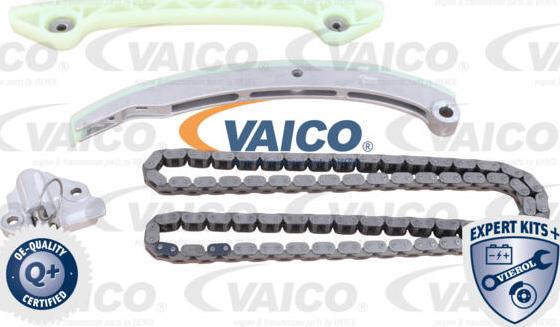 VAICO V25-10004-BEK - Chit lant de distributie aaoparts.ro