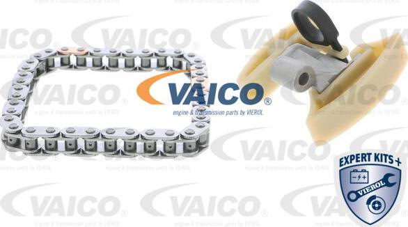 VAICO V25-10001-BEK - Chit lant de distributie aaoparts.ro