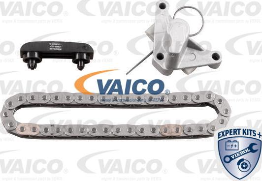 VAICO V25-10002-BEK - Chit lant de distributie aaoparts.ro