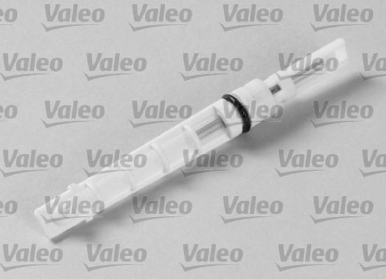 Valeo 508970 - Injectoare, supapa expansiune aaoparts.ro