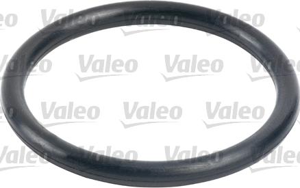 Valeo 587702 - Filtru combustibil aaoparts.ro