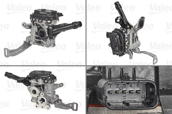 Valeo 700455 - Supapa EGR aaoparts.ro