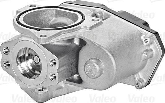 Valeo 700424 - Supapa EGR aaoparts.ro