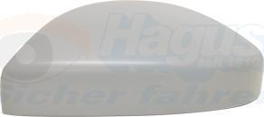 Van Wezel 0261843 - Acoperire oglinda exterioara aaoparts.ro
