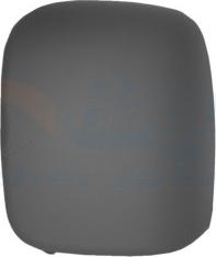 Van Wezel 1612843 - Acoperire oglinda exterioara aaoparts.ro