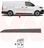 Van Wezel 3892406 - Elemente decorative / protectie, portiera aaoparts.ro