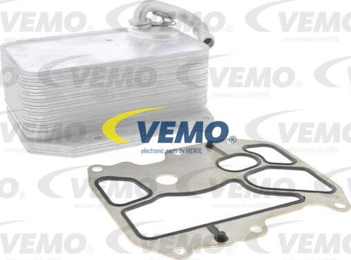 Vemo V15-60-6075 - Radiator ulei, ulei motor aaoparts.ro
