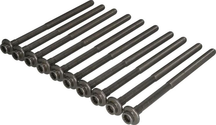 Victor Reinz 14-10013-01 - Set surub, chiulasa aaoparts.ro