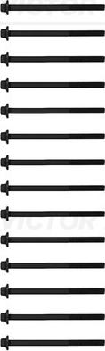 Victor Reinz 14-10017-01 - Set surub, chiulasa aaoparts.ro