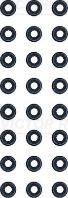 Victor Reinz 12-19304-01 - Set garnituri, ax supape aaoparts.ro