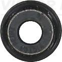 Victor Reinz 70-53093-00 - Etansare, supape aaoparts.ro