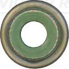 Victor Reinz 70-18110-00 - Etansare, supape aaoparts.ro