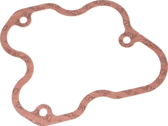 Victor Reinz 71-31116-00 - Garnitura, capac supape aaoparts.ro
