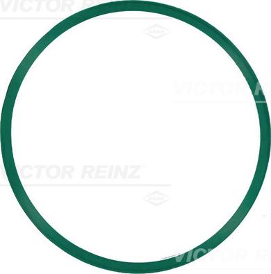 Victor Reinz 71-21910-00 - Garnitura, galerie admisie aaoparts.ro