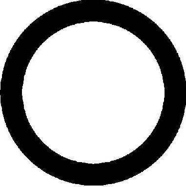 Victor Reinz 71-23910-00 - Garnitura, racord evacuare aaoparts.ro