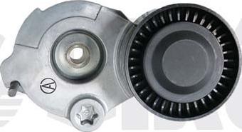 Vika 99031774701 - Intinzator curea, curea distributie aaoparts.ro