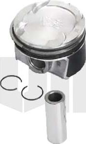 Vika 19946101 - Piston aaoparts.ro