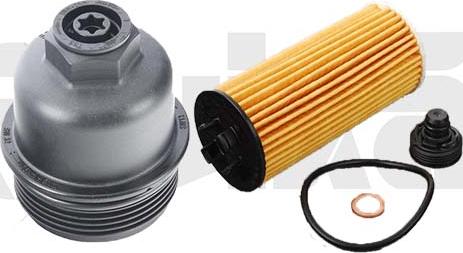 Vika 19826401 - Capac, carcasa filtru ulei aaoparts.ro