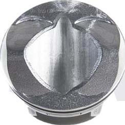 Vika 11071697701 - Piston aaoparts.ro