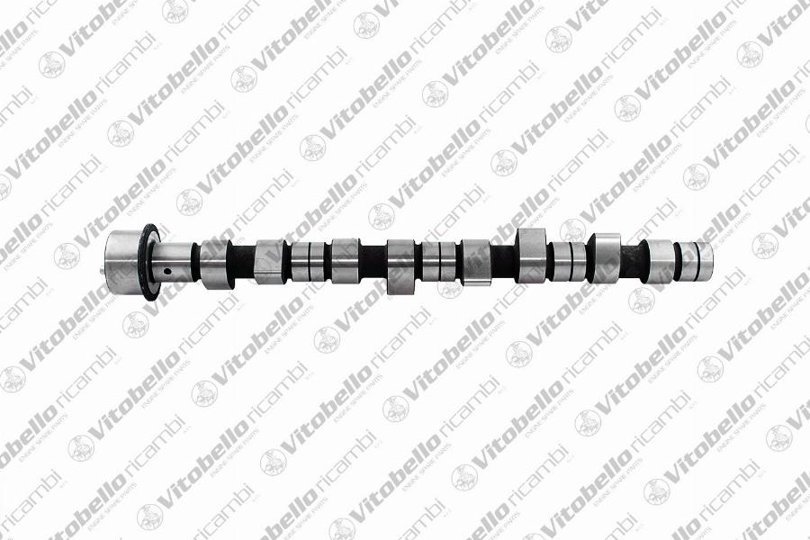 Vitobello Ricambi 18198N - Ax cu came aaoparts.ro