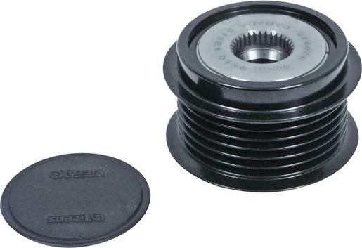 WAI 24-94290-4 - Fulie, alternator aaoparts.ro