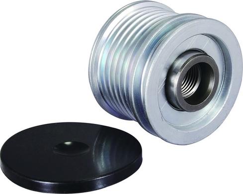 WAI 24-91263-1 - Fulie, alternator aaoparts.ro