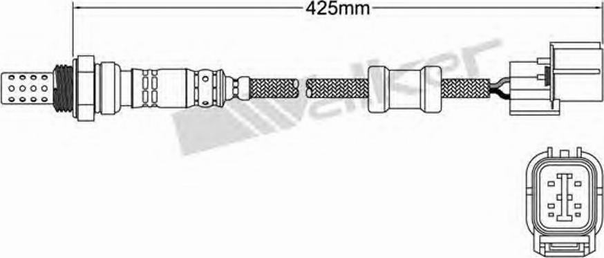 Walker 250-24099 - Sonda Lambda aaoparts.ro