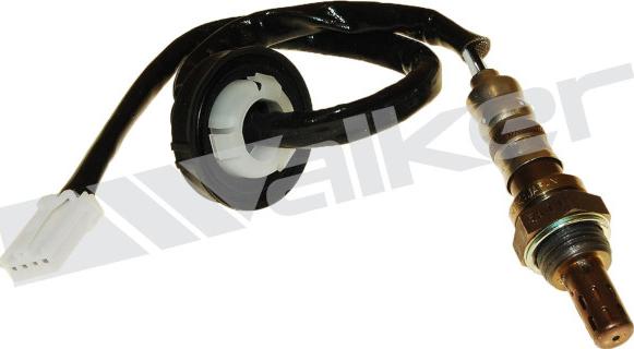 Walker Products 250-24981 - Sonda Lambda aaoparts.ro