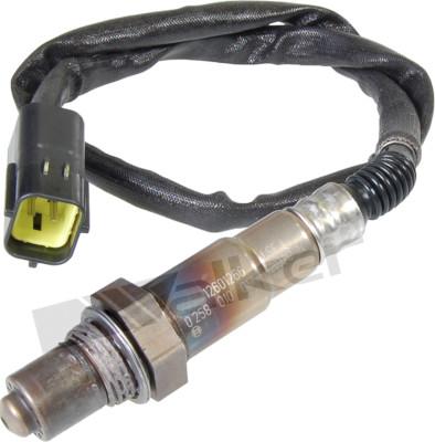 Walker Products 250-24447 - Sonda Lambda aaoparts.ro