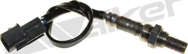 Walker Products 250-24162 - Sonda Lambda aaoparts.ro