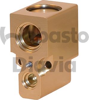 Webasto 82D0585057A - Supapa expansiune, clima aaoparts.ro