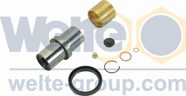 WELTE 00024640-GE - Set reparatie, pivot aaoparts.ro