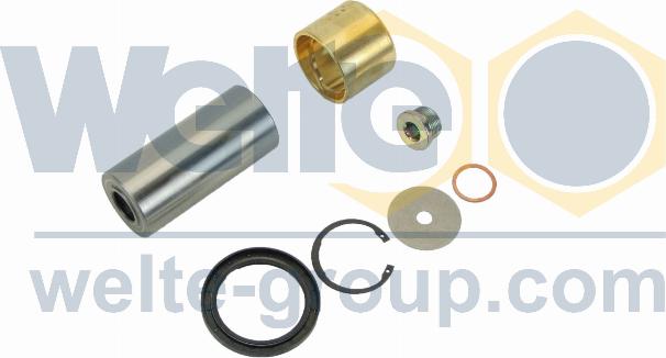 WELTE 00024639-GE - Set reparatie, pivot aaoparts.ro