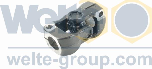 WELTE 100001678-GE - Articulatie, arbore de directie aaoparts.ro