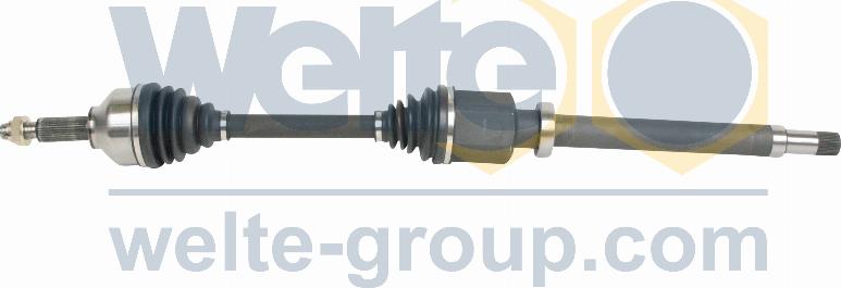 WELTE 2111368-GB - Planetara aaoparts.ro