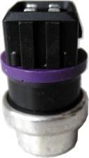 WE PARTS 410580150 - Senzor,temperatura lichid de racire aaoparts.ro