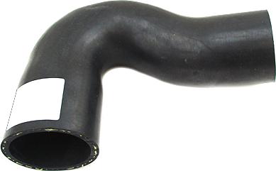 WE PARTS 421820008 - Furtun aer supraalimentare aaoparts.ro