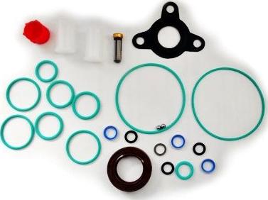 WE PARTS 391990019 - Set garnituri, pompa injectie aaoparts.ro
