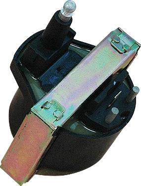 WE PARTS 220830075 - Bobina de inductie aaoparts.ro