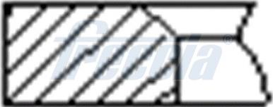 Wilmink Group WG1945909 - Set segmenti piston aaoparts.ro