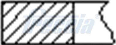 Wilmink Group WG1946002 - Set segmenti piston aaoparts.ro